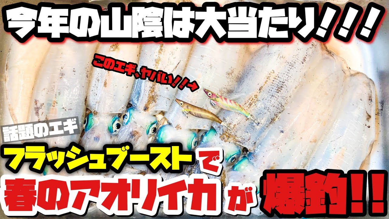 検証 真夏の宍道湖で釣れたシーバスは刺身で食べられるのか 捌き方 Youtube