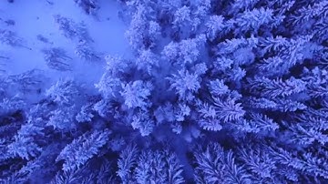 قراءة من سورة إبراهيم في صلاة الفجر