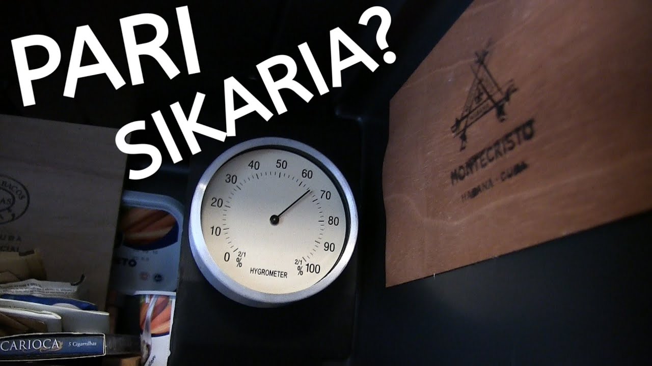 Kurkistetaan humidoriin ja lasketaan pötköt