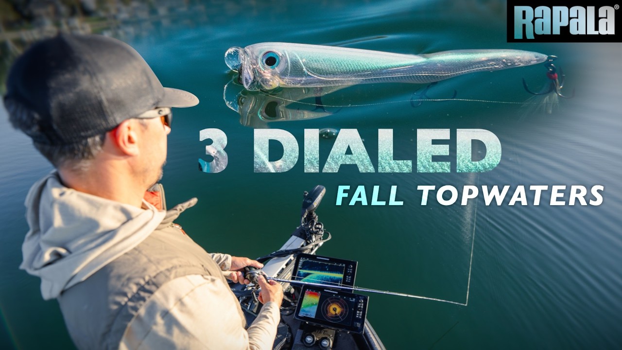 Rapala® | 3 Topwater Baits You Need for Fall Bass Fishing