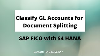 Classify GL Accounts for Document Splitting in SAP | Document Splitting in S 4HANA  FICO | Veera bS
