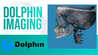 Dolphin Imaging