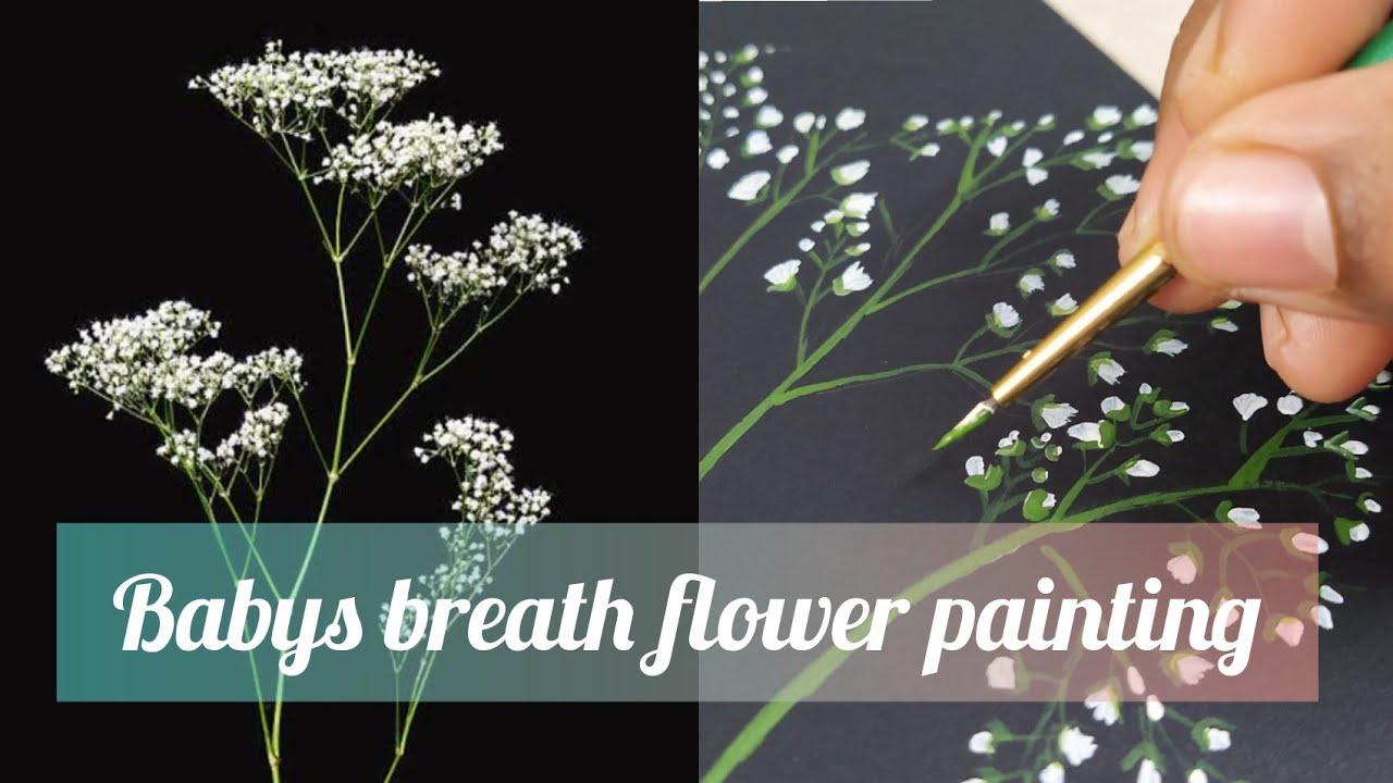 babys breath flower painting ideas/simple flower painting ideas for