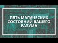 Павел Язынин. Пять магических состояний вашего разума