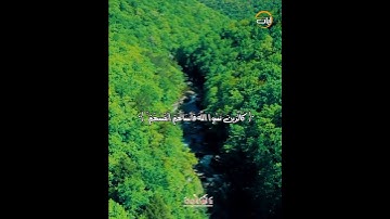 يا أيها الذين // الشيخ أبوبكر الشاطري - آيات من كتاب الله