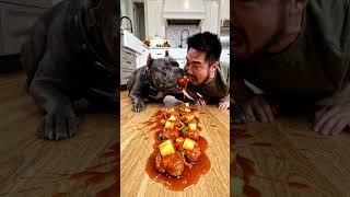 Man and dog eating SWEET AND SOUR PORK BITES #viral #viralvideo #shorts  #funny