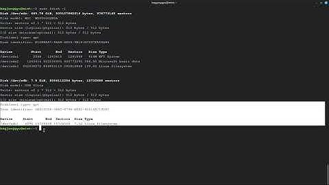 USB EXT4로 포맷하기(dos 테이블)