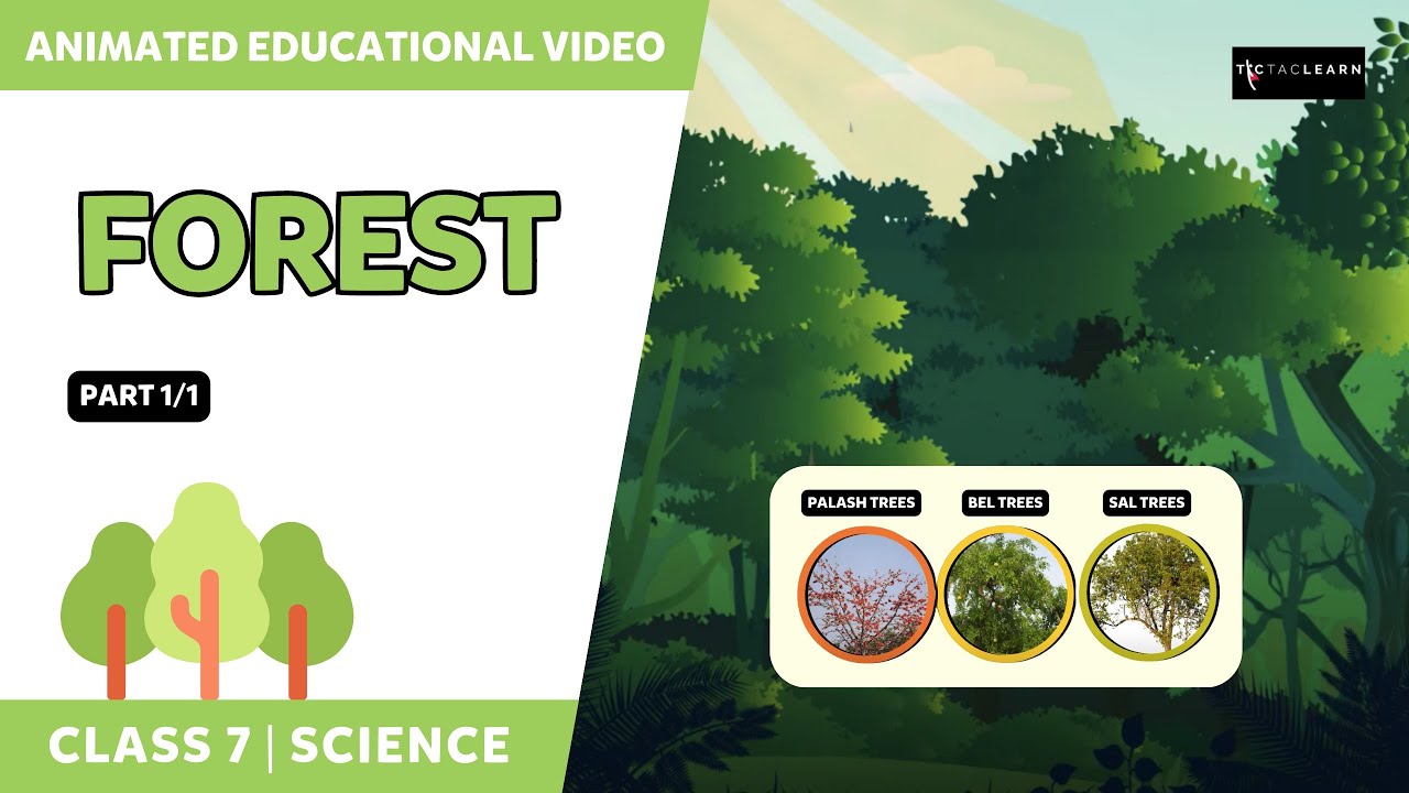 forest-our-lifeline-part-1-1-class-7-science-chapter-17
