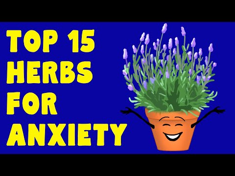 The Best Herbs for Anxiety: 15 Amazing Natural Ways to Beat Stress