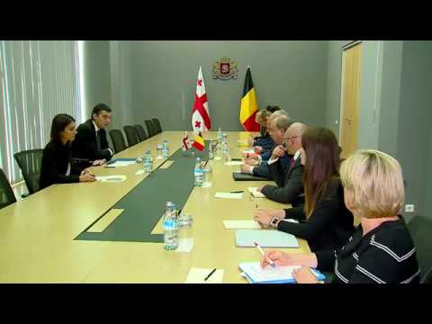 საქართველოს შინაგან საქმეთა მინისტრი ბელგიის სახელმწიფო მინისტრს შეხვდა