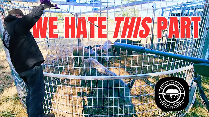 VIEWER WARNING AND DARK SIDE OF HOG TRAPPING