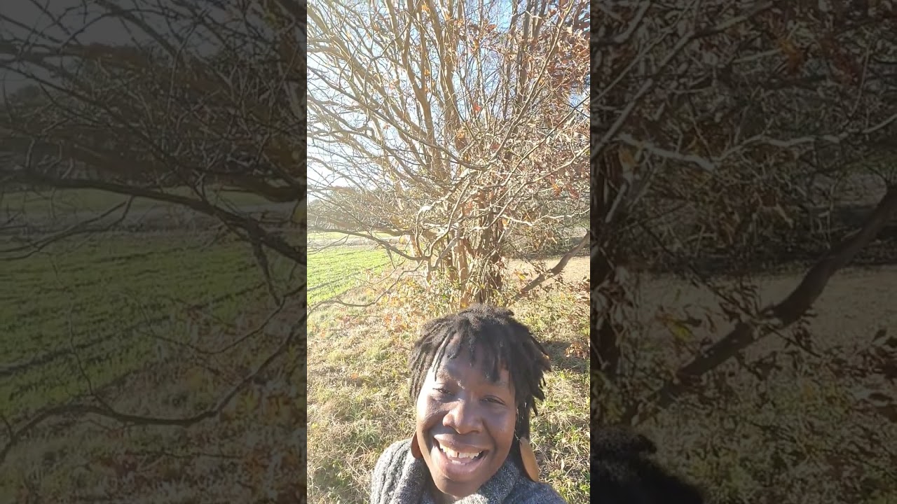 Господь всегда рядом 🎶 🎵 