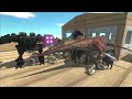 End of video
