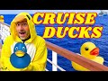 Cruise Ducks Everything You NEED To Know