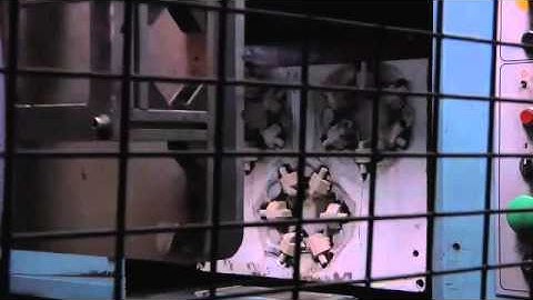 DISAMATIC   Moldagem Vertical