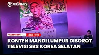 Konten Mandi Lumpur Disorot Televisi Sbs Korea Selatan