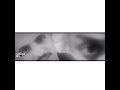 تصميم مع قلتش
