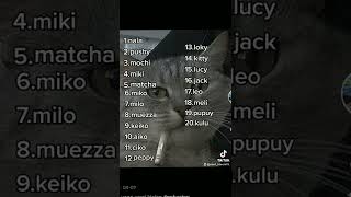 Nama Untuk Kucing Kalian Ada 20 Nama Jantan Dan Betina