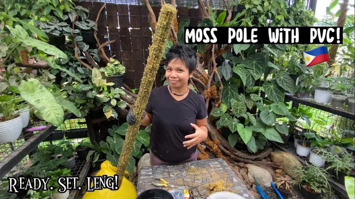 HOW TO MAKE A MOSS POLE | EASY MOSS POLE WITH PVC SUPPORT | DIY EXTENDABLE MOSS POLE