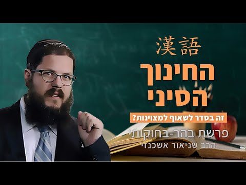 וִידֵאוֹ: האם הטיה משפיעה על המודל?