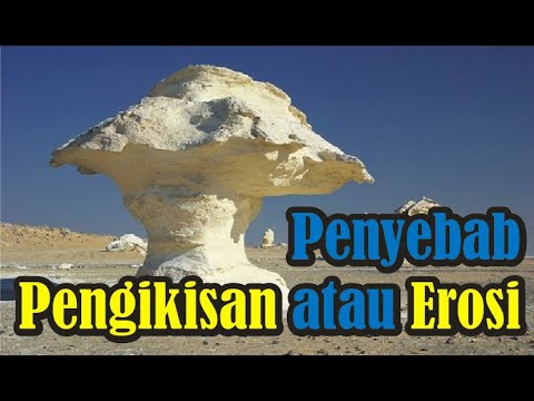 Video: Apa penyebab terjadinya erosi?