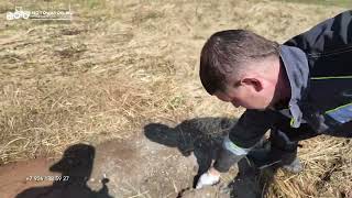 Народный ротоваторный комплекс с лучшей версией фрезы Mericrusher 89261385927