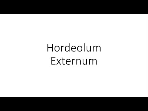 Видео: Stye внешнего века (Hordeolum Externum)