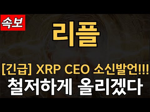 XRP CEO 소신발언!!!!!!