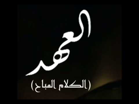 هشام نزيه الكلام المباح Extended