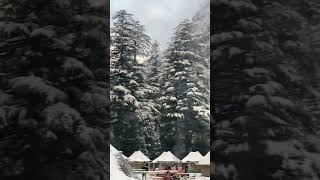 Kasol valley #india #travel #manali #viral #mountain #himachal #travelvlog #video #shorts #1m