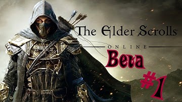 Elder Scrolls Online Beta Gameplay |Part 1| Black Man Always Locked Up