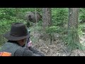 Best Shots of Wild Boar Hunting,Wildsau Jagd,Chasse Au Sanglier