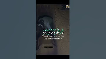 إِنَّكَ مَيِّتٞ وَإِنَّهُم مَّيِّتُونَ.   #قرآن_كريم #تلاوةخاشعة #سورة_الزمر