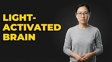 How Does Optogenetics Precisely Activate Neural Activity?