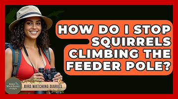 How Do I Stop Squirrels Climbing The Feeder Pole? - Bird Watching Diaries