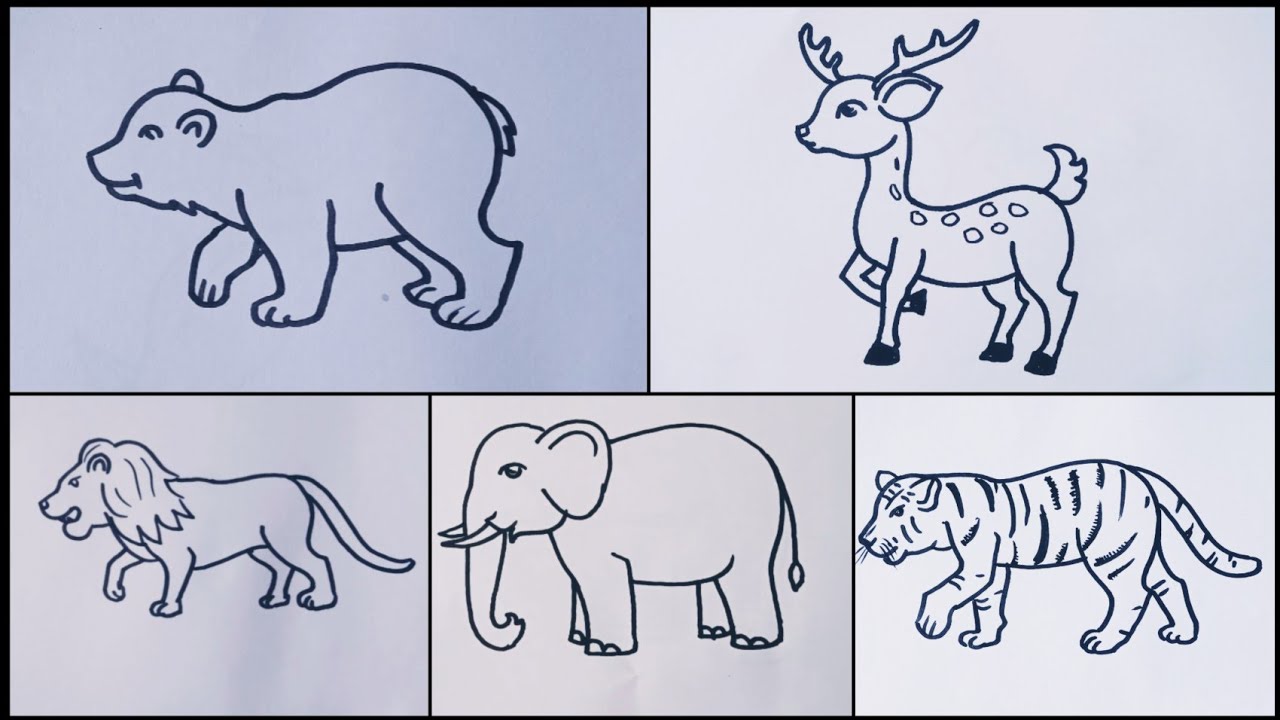 drawings of wild animals