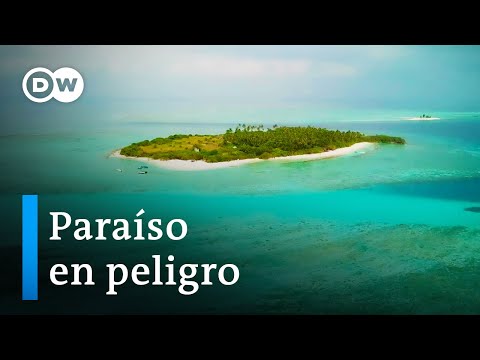 Video: Clima en las Maldivas por meses. Archipiélago de Maldivas