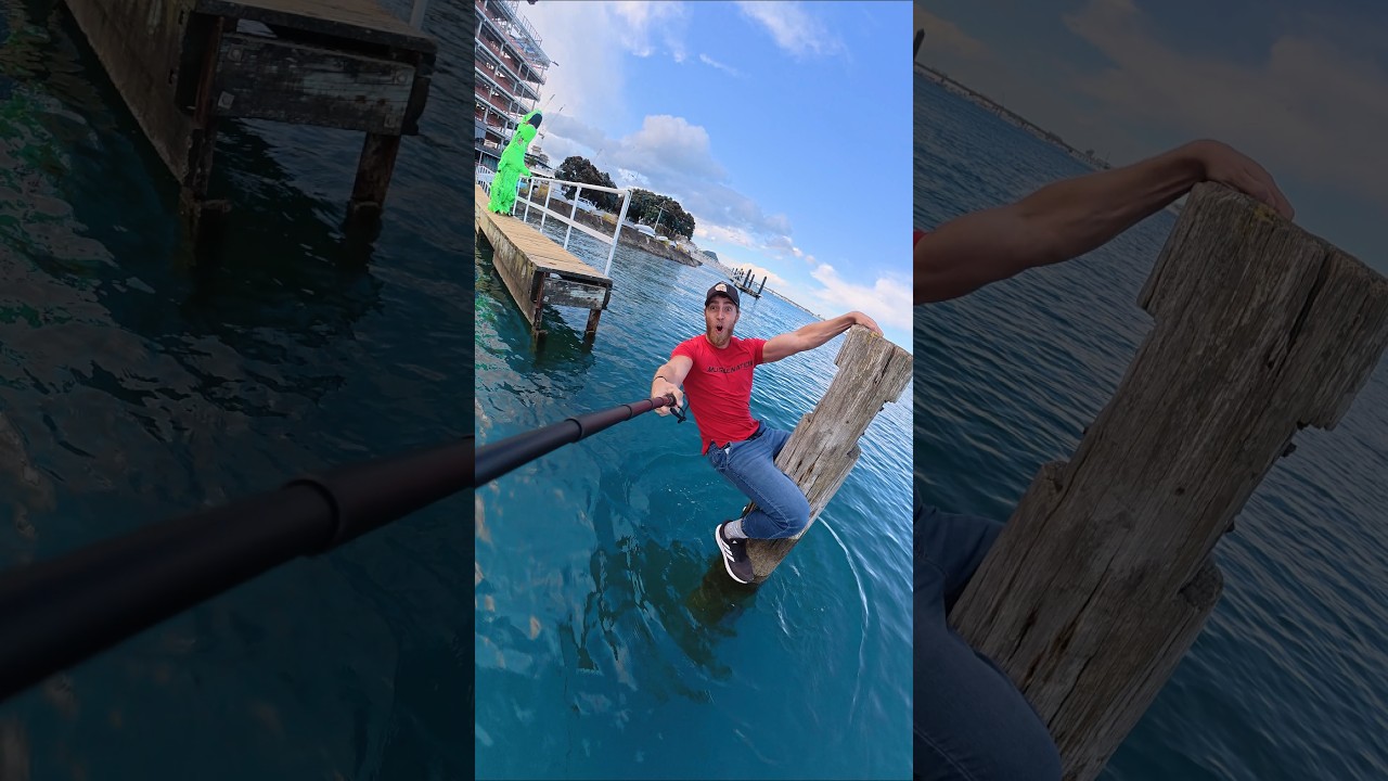 The North Sea Is Scary!? 😱