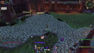 Shadowfiend / Mindbender chasing rogue in stealth