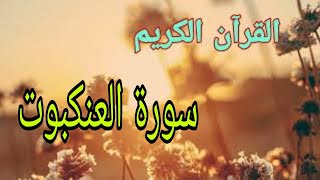 تلاوة قرآنية خاشعة مميزة بصوت القارئ أنس الميمان لسورة العنكبوت