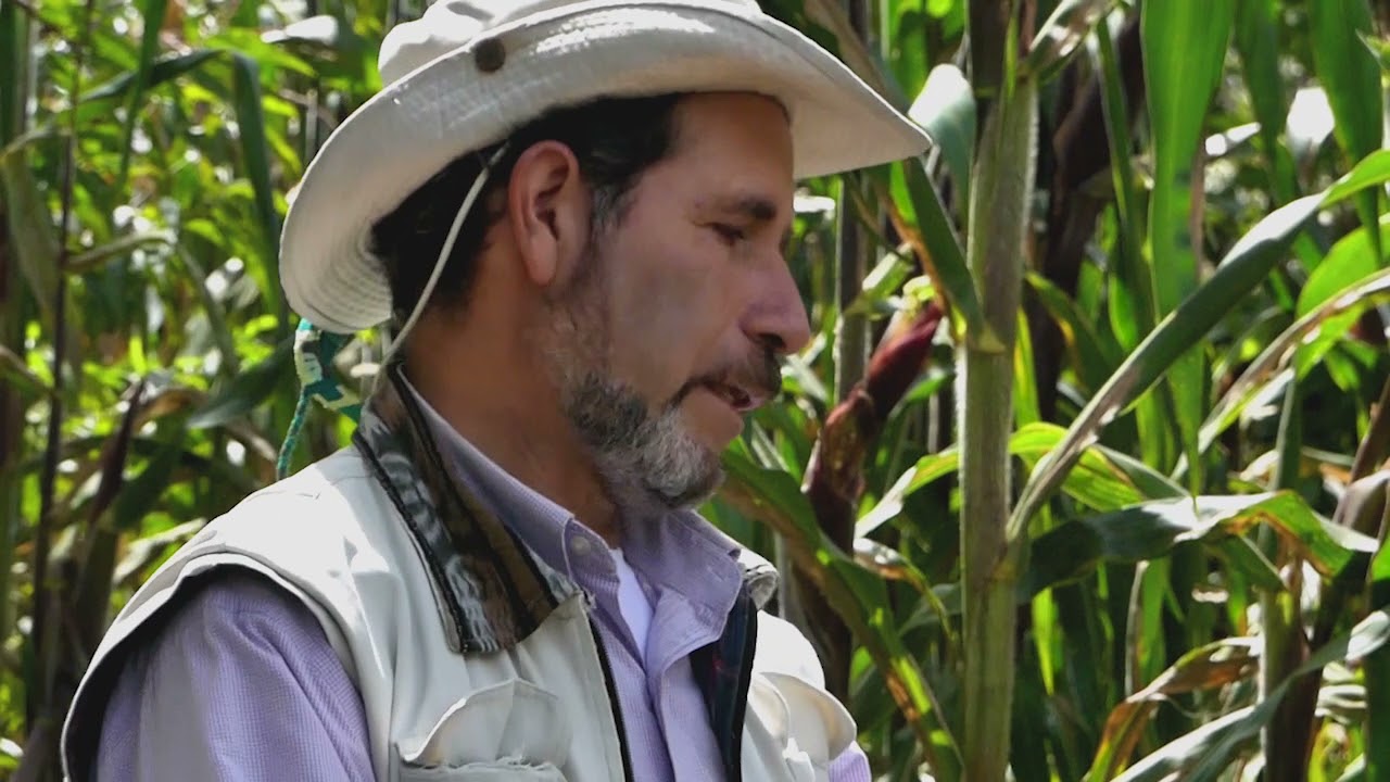 Supermagro  Biofertilizante Orgánico