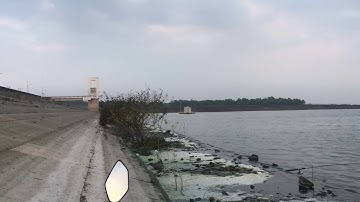 Đi câu cá thác lác vào 5h đàng tại hồ sông ray