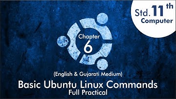 Std. - 11 || Computer || Chapter - 6 || PRACTICAL || English Medium || Gujarati Medium || GSEB
