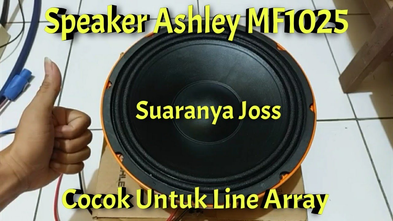 Speaker Ashley MF1025