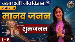 शुक्रजनन | मानव जनन | Class 12 Biology | Ch 3 L-6 | Shalini Ma'am