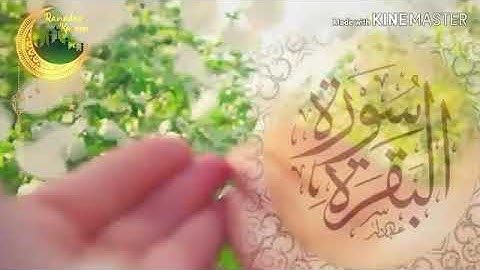 سورة البقرة كاملة