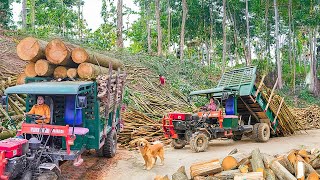 Buy Large Quantities of Wood from Highland Villagers | Transport by Truck and Sell to Traders
