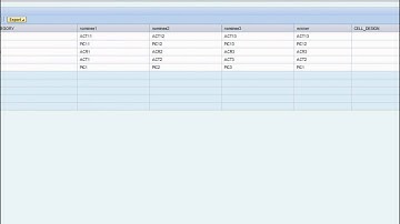 Webdynpro for ABAP ALV Part 4