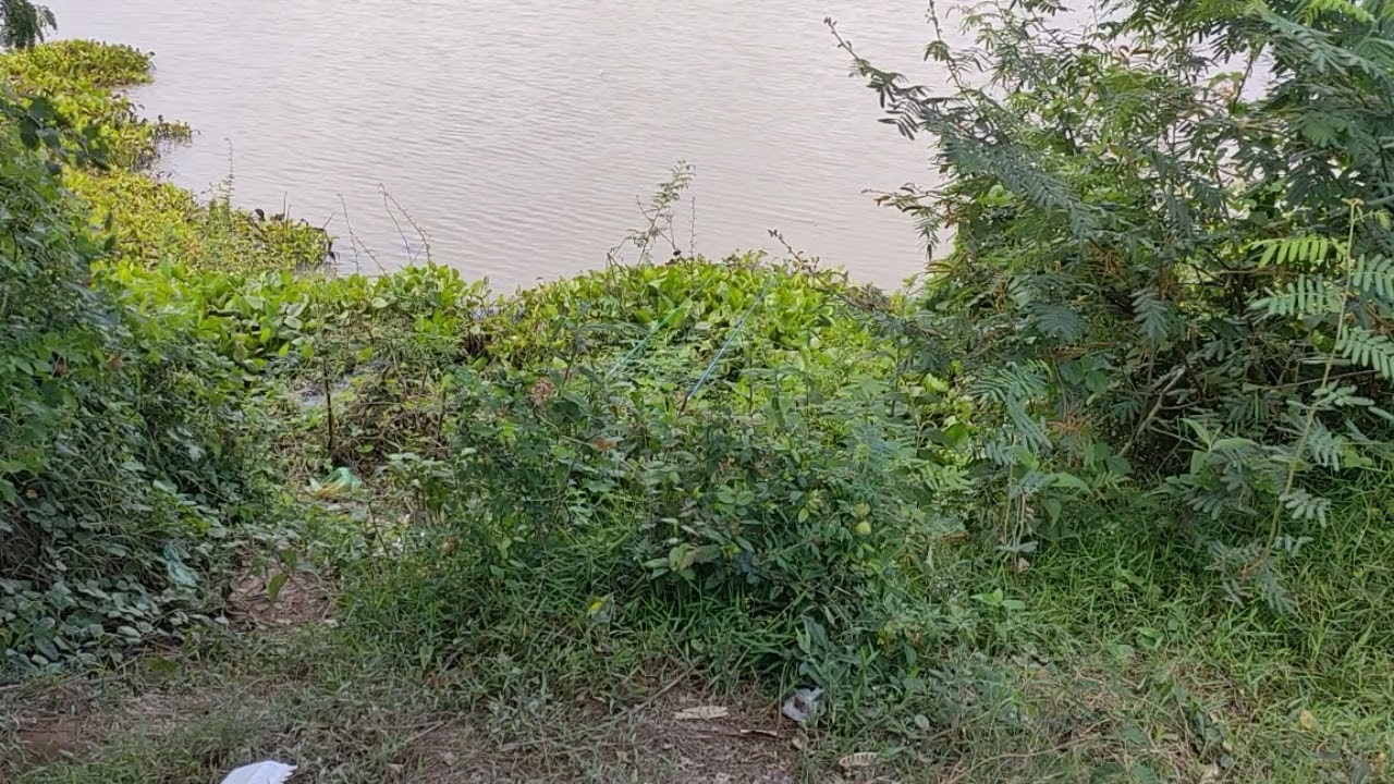 Amazing spinning fish || fishing field part6