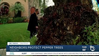 Kensington residents protect pepper trees